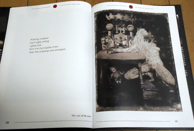 洋書写真集【ジョン・サンテリネロス作品集/ フルーツ・オブ