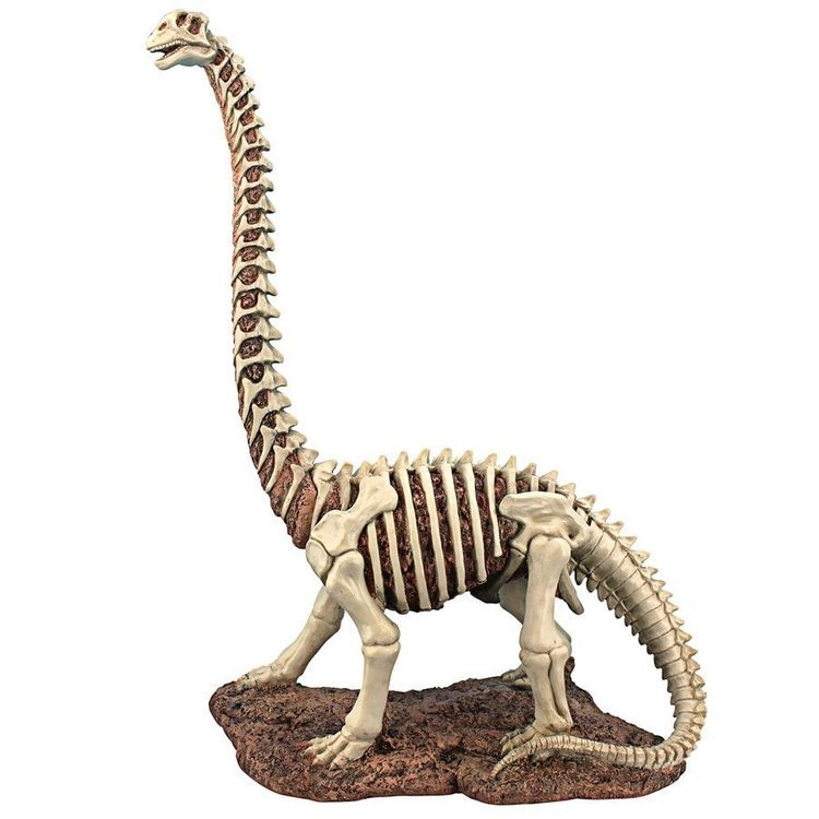 ジュラ紀 ブラキオサウルス恐竜の骨格像 彫刻 彫像/ ガ＾デニング