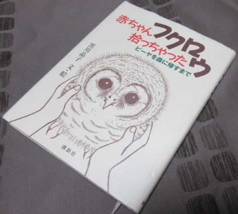 赤ちゃんフクロウ拾っちゃった―ピーヤを森に帰すまで　黒川晶子　文・絵　サイン入り_画像1