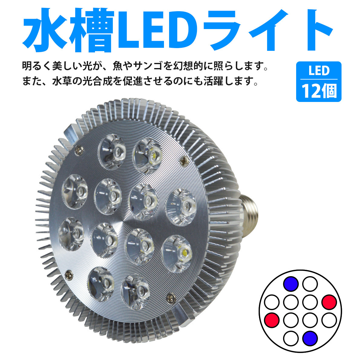 LED 電球 スポットライト 24W(2W×12)白8青2赤2 水槽 照明 E26 LEDスポットライト 電気 水草 サンゴ 熱帯魚 観賞魚 植物育成_laqua-b-007-sv-01-a