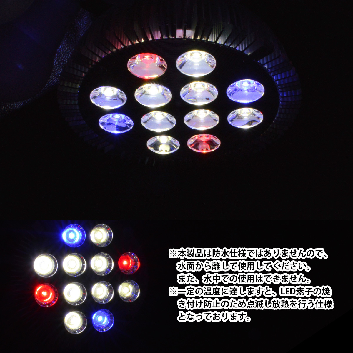 LED 電球 スポットライト 24W(2W×12)白8青2赤2 水槽 照明 E26 LEDスポットライト 電気 水草 サンゴ 熱帯魚 観賞魚 植物育成_画像4