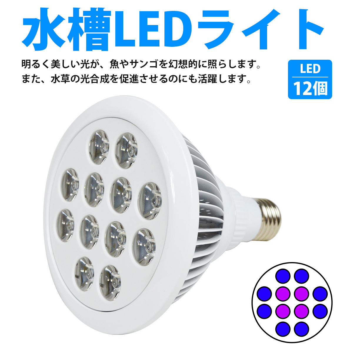 LED 電球 スポットライト 24W(2W×12)青8紫外線4灯 水槽照明 E26 LEDスポットライト 電気 水草 サンゴ 熱帯魚 観賞魚 植物育成_laqua-b-017-wh-01-a