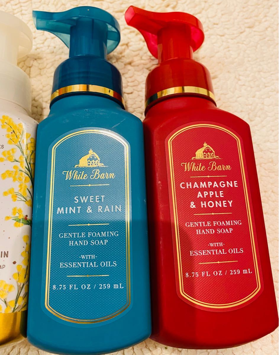 5本 今年新作 Bath&Body Works bath&body works 泡ハンドソープ エッセンシャルオイル 即日発送