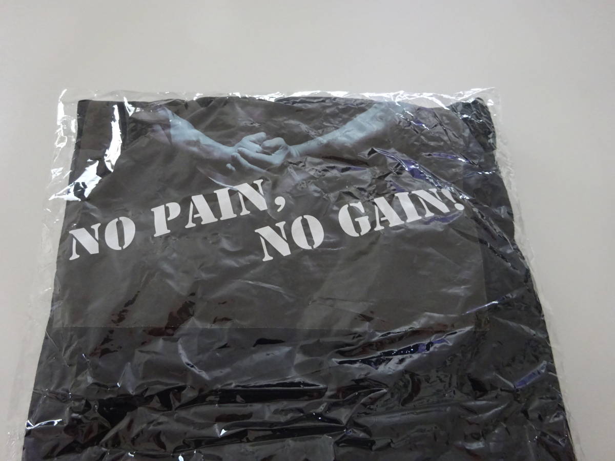 【MP-2】　NO PAIN NO GAIN　プロレス　Tシャツ　Lサイズ_画像3