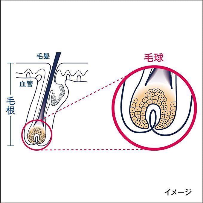 最終出品【180g×24本】サクセス 薬用育毛トニック ハーバルシトラス 微香性 花王 Kao SUCCESS