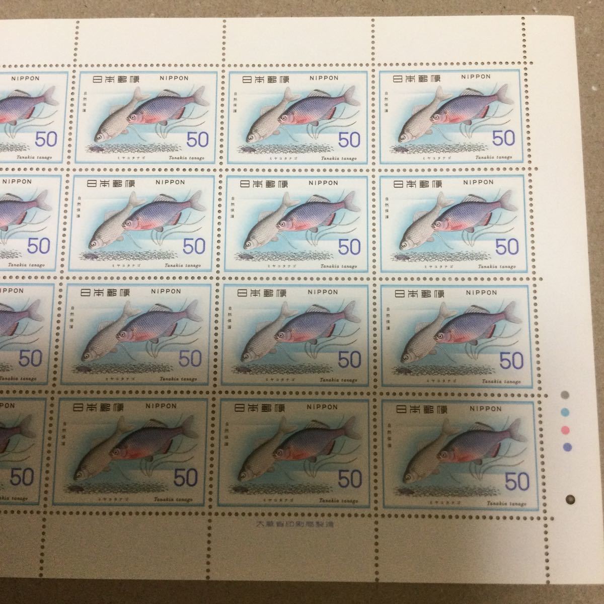 【未使用】1976年　自然保護シリーズ　魚類 ミヤコタナゴ 50円×20枚　切手　大蔵省印刷局製造　余白　記念切手_画像3