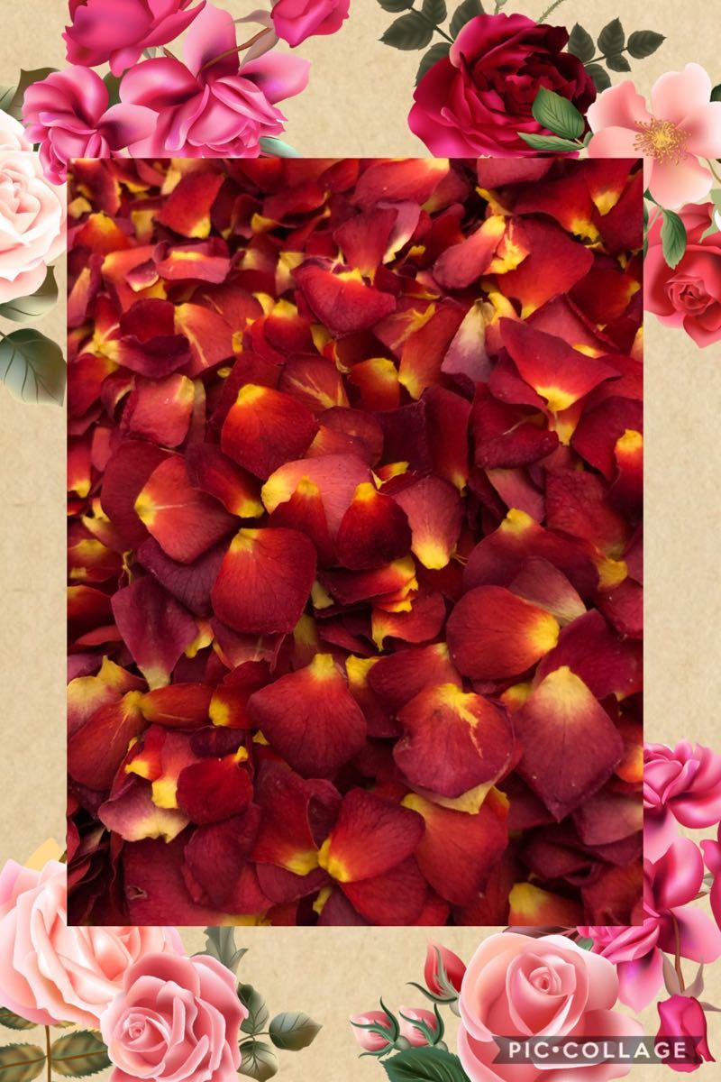 大特価！ミニ薔薇の花びら9gセット（大小mix）★ミニバラ　ドライフラワー花材★ハンドメイド素材★結婚式のフラワーシャワーにも