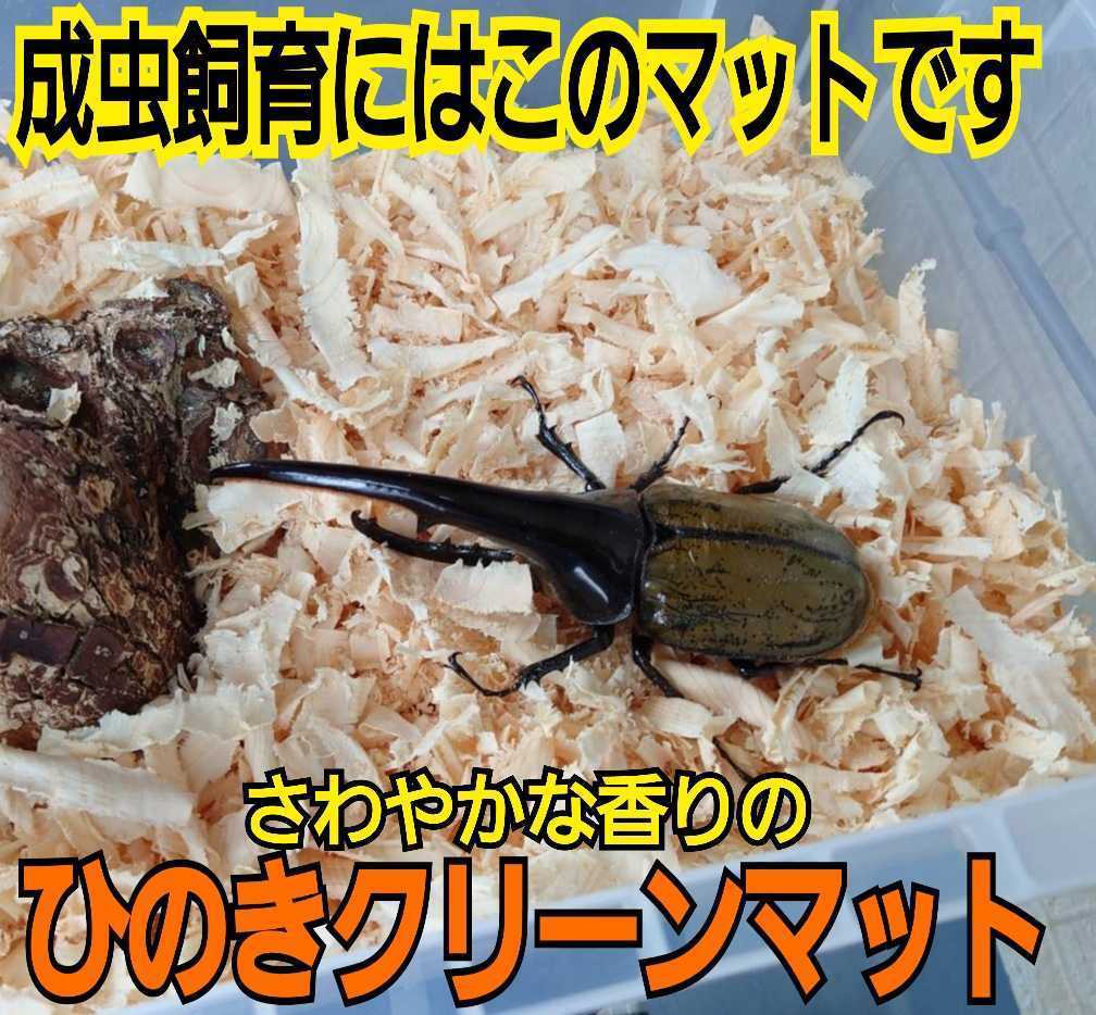 送料無料☆カブトムシ、クワガタの成虫飼育専用☆針葉樹クリーンマット☆ケース内が明るくなり生体が目立つ！ダニ、コバエも湧かなくなる！_画像5