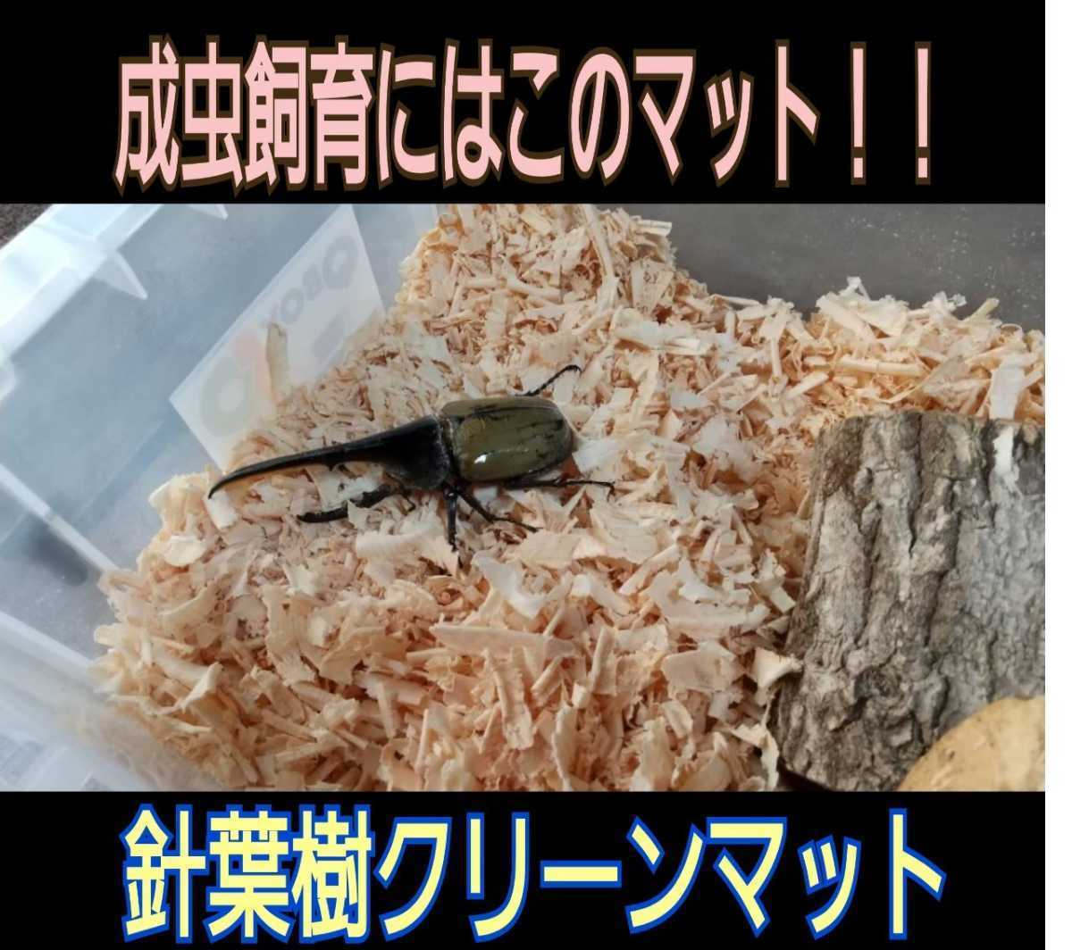 送料無料☆カブトムシ、クワガタの成虫飼育専用☆針葉樹クリーンマット☆ケース内が明るくなり生体が目立つ！ダニ、コバエも湧かなくなる