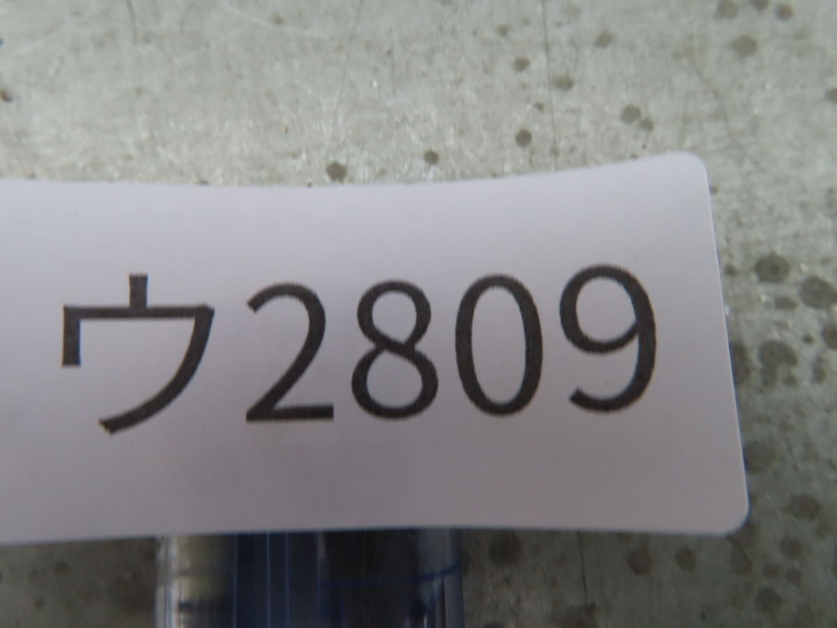 ウ2809「現地株」パキポディウム グラキリス M５寸【植え・マダガスカル・未発根・Pachypodium gracilius】_画像8