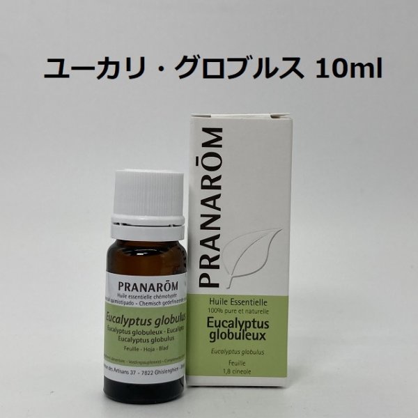 ユーカリ・グロブルス 10ml プラナロム PRANAROM アロマ 精油 ユーカリグロブルス (W)