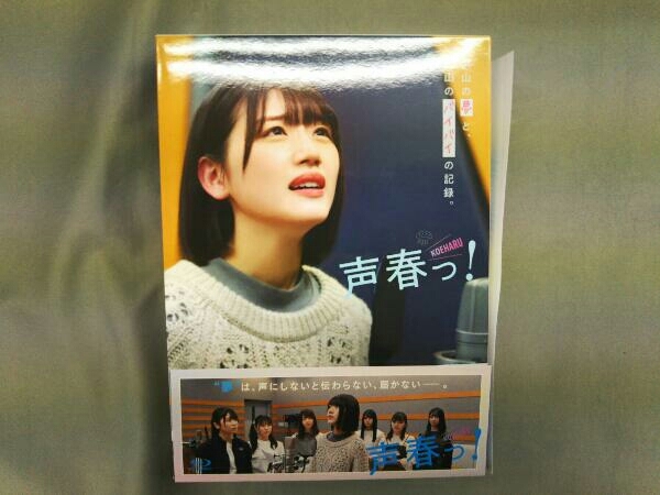 流行に 【当日発送可】声春っ! Blu-ray BOX〈6枚組〉 日本映画