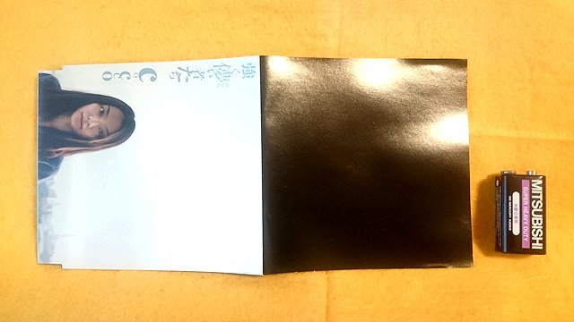 Cocco 強く儚い者たち ジャケット部分