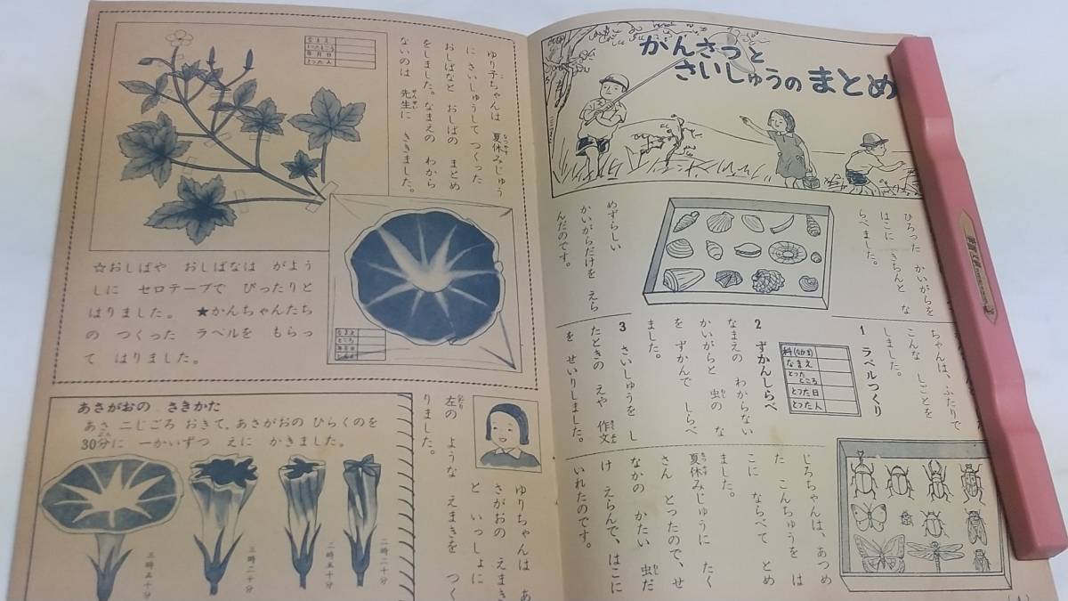 １０　昭和レトロ　小学二年生付録　２年生の学しゅうブック　てがみのたび　きれいなひょうし　こおろぎはどうしてなくの_画像4