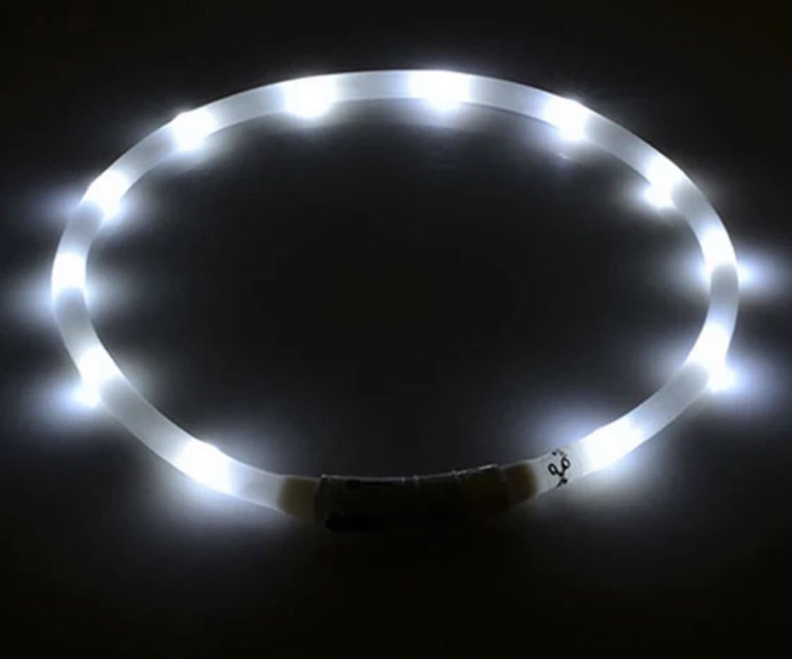 首輪 光る LEDライト 夜用 USB 充電 大型犬 蛍光 L 犬 ホワイト 白 LEDライト 発光_画像5