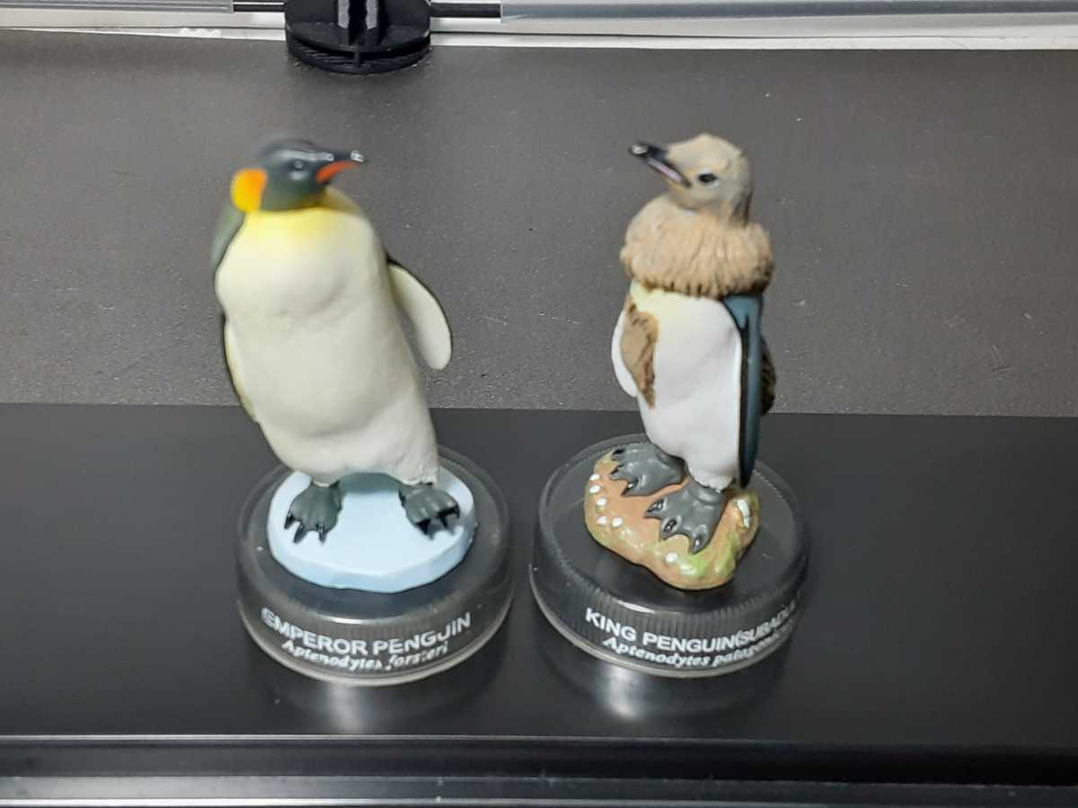 海洋堂×北陸製菓ペンギンズランチビスケット ペンギンズフィギュアコレクション2 シークレット含む9種類 ボトルキャップ _画像3