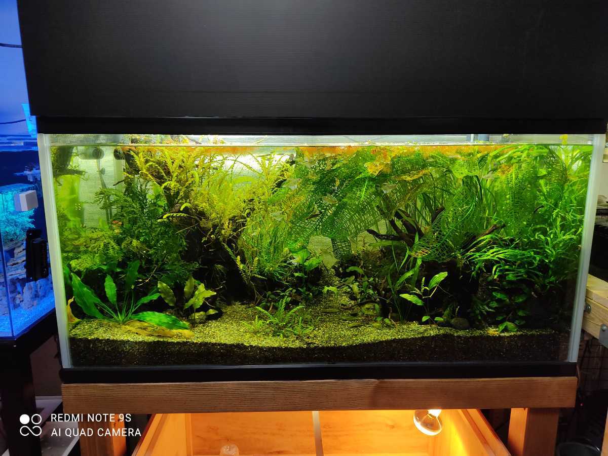 絶妙なデザイン ☆引き取り限定☆120センチ水槽セット - 魚用品/水草 ...