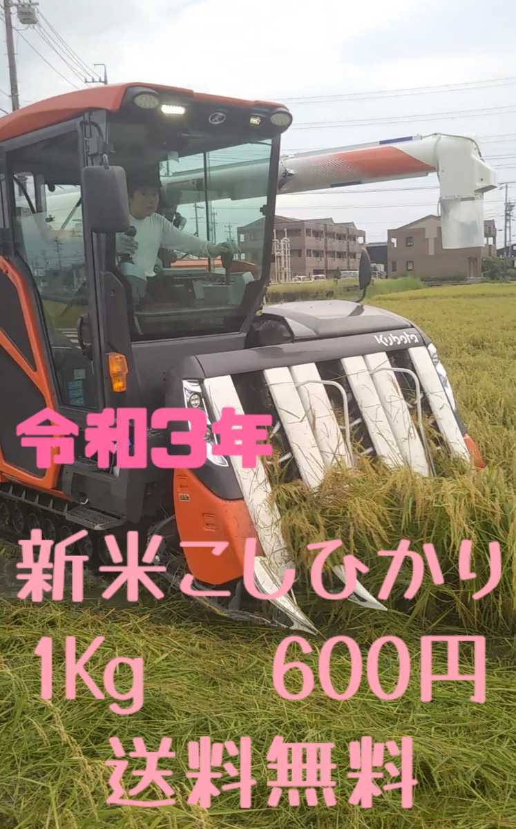 新米令和3年三重県産コシヒカリ農家直送白米1Kg色彩選別機済減農薬防虫剤不使用体にやさしいお米です。40106_画像1