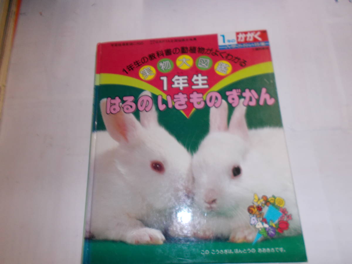 ★送料無料★一年生の教科書の動植物がよくわかる『実物大図鑑』_画像1