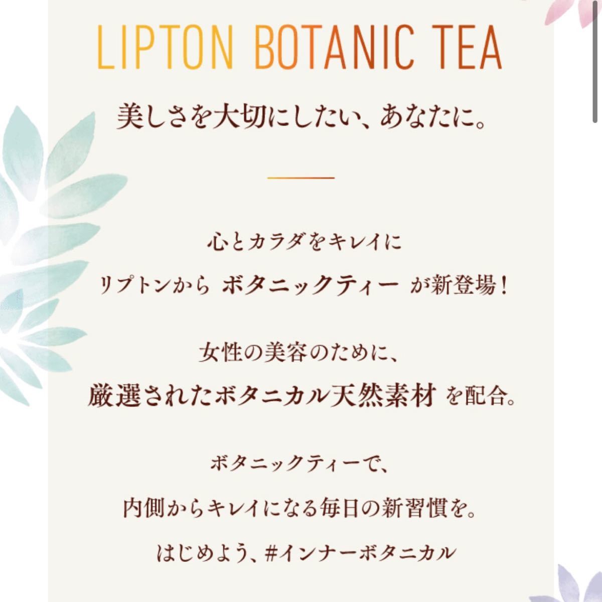 リプトン ボタニックティー 紅茶 ティーバッグ 60袋セット 3種類