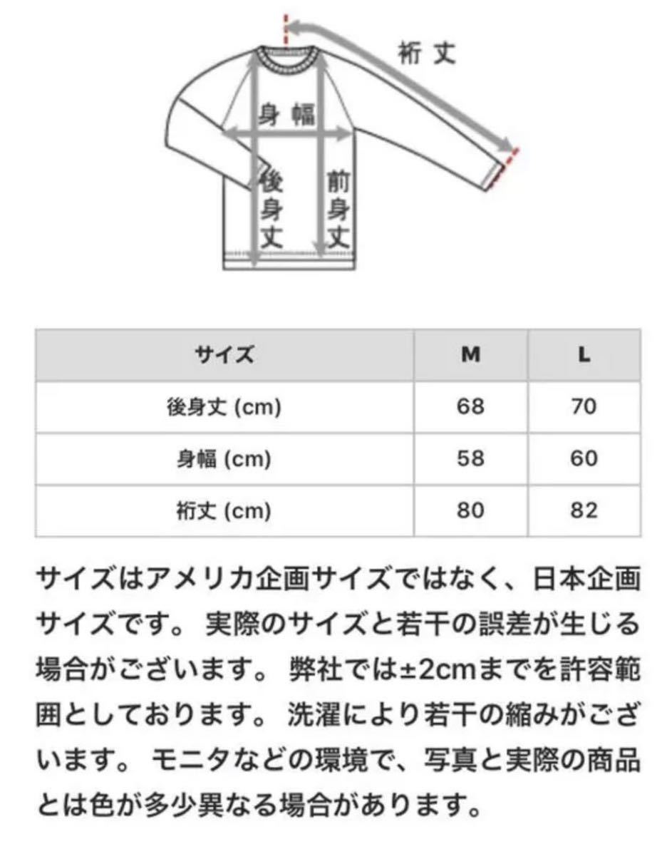 新品チャンピオン　春夏完売レア　ストレッチアノラックジャケット/Mサイズ　プルオーバーパーカー　スポーツジムランニングにも　10340円_画像7