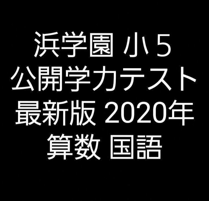 浜学園　小５　最新版　2020年　公開学力テスト　算数　国語　_画像1