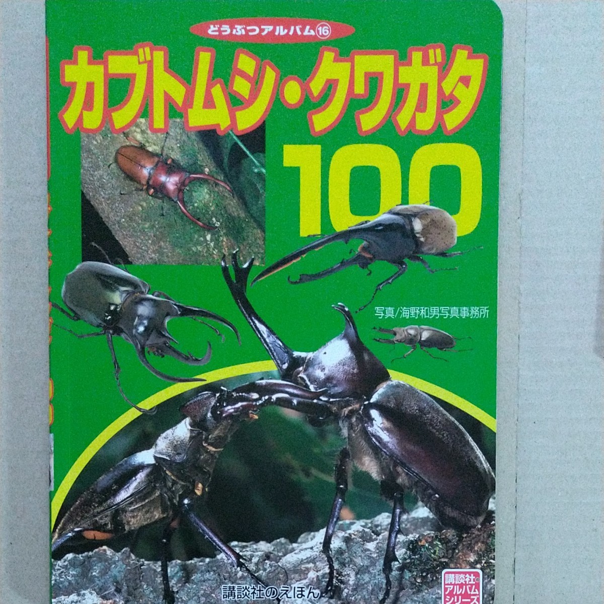 【セット販売】カブトムシ・クワガタ100/かっこいいな　きょうりゅう/はじめての昆虫