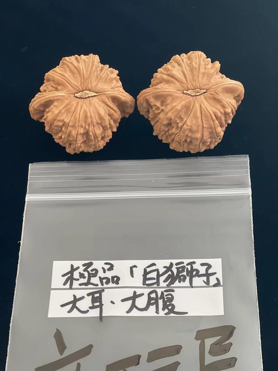 遊び胡桃 極品 大腹 大耳 白獅子 クルミ 趣味 健康グッズ コレクション