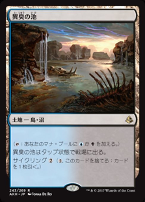 MTG ■土地/日本語版■ 《異臭の池/Fetid Pools》アモンケット AKH_画像1