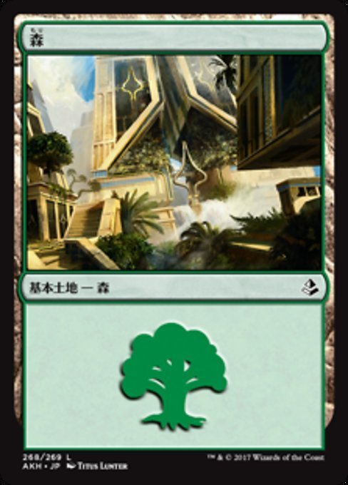 MTG ■土地/日本語版■ 《森/Forest》★FOIL★ アモンケット AKH_画像1