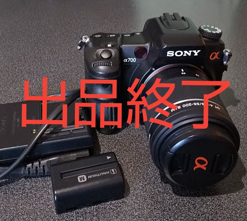 SALE/64%OFF】 FMART Yahoo 店ソニー SONY デジタル一眼レフカメラ