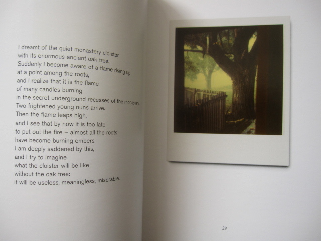 １着でも送料無料】 Andrey / Polaroids Tarkovsky : Light Instant 洋書 希少本 絶版 A.  アンドレイ・タルコフスキー : Tarkovsky - アート写真 - labelians.fr