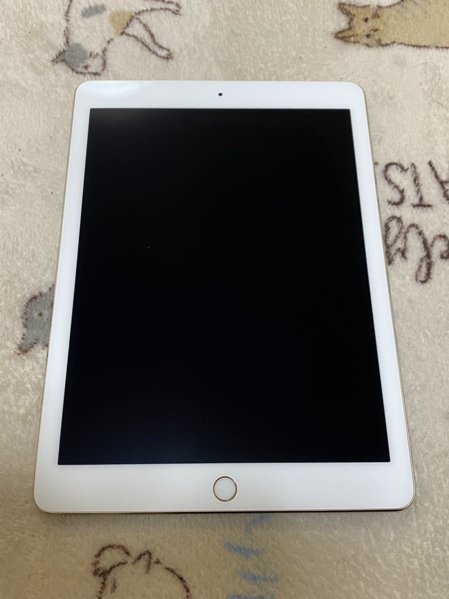 iPad Pro 9.7 256gb Wi-Fi＋セルラー ジャンク品 故障品