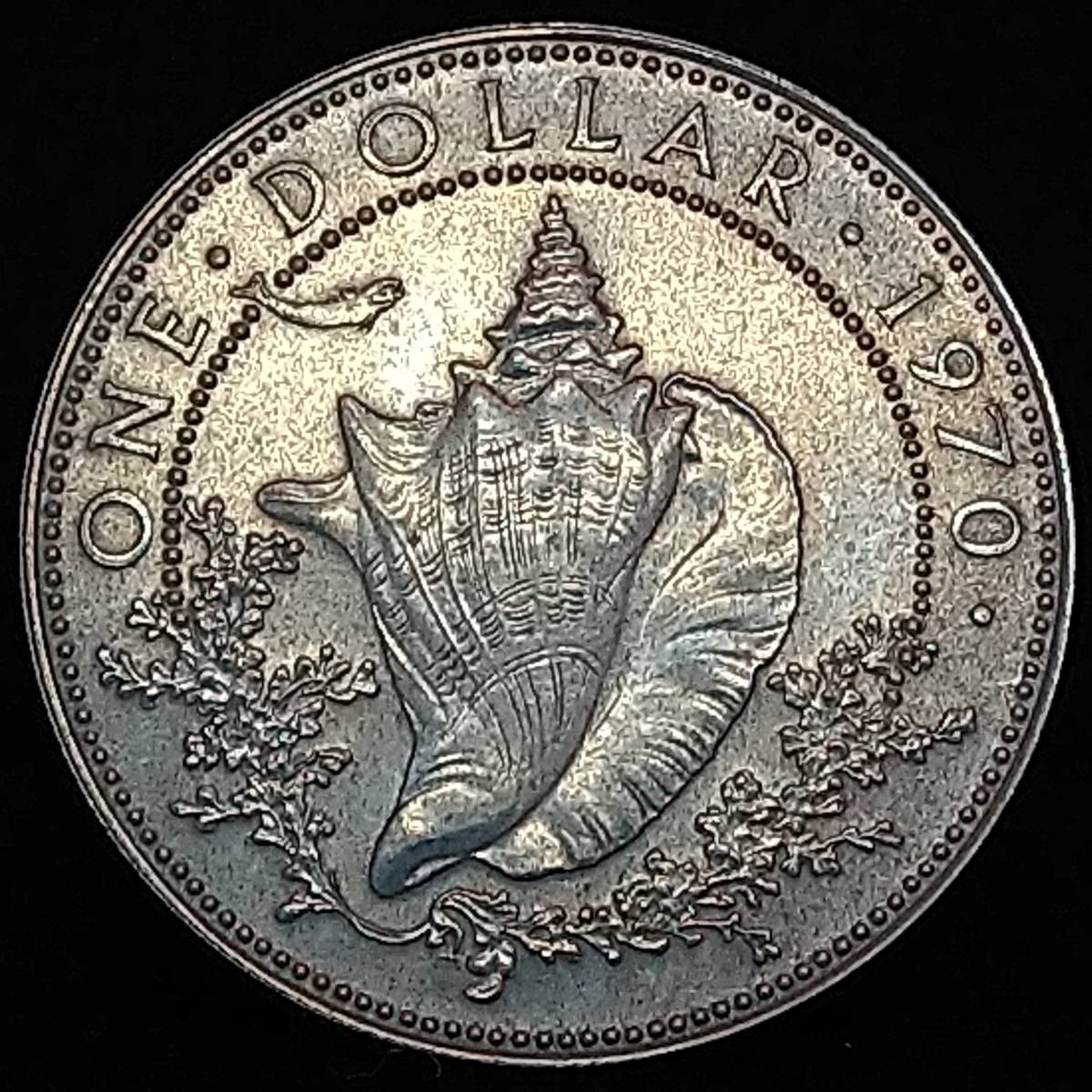 バハマ銀貨　１９７０年　１ドル　/　１８．４６ｇ_画像1