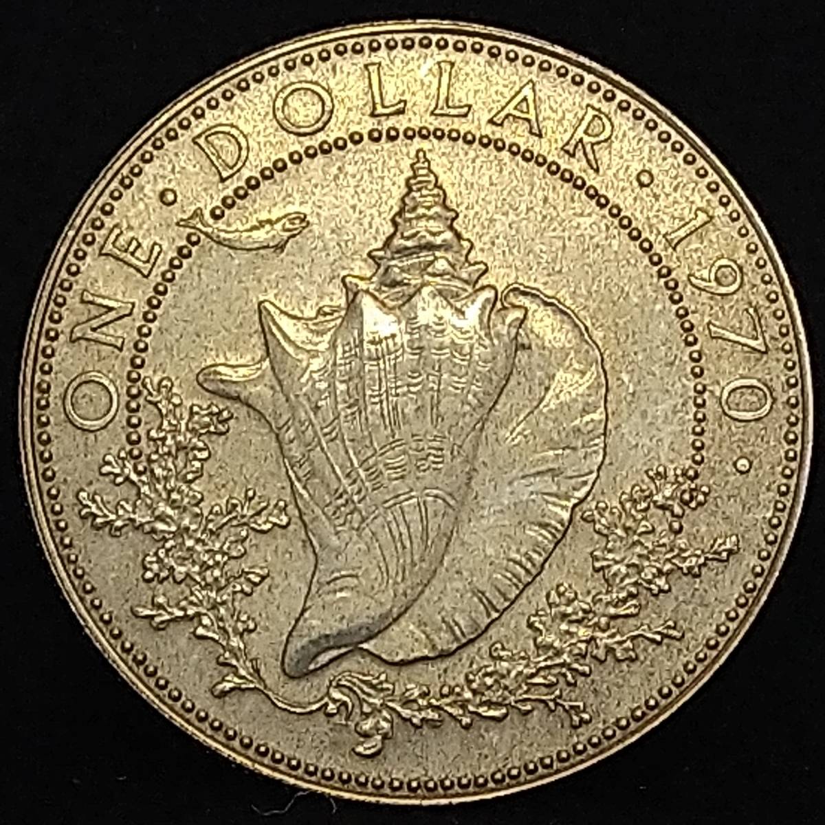 バハマ銀貨　１９７０年　１ドル　/　１８．４６ｇ_画像3