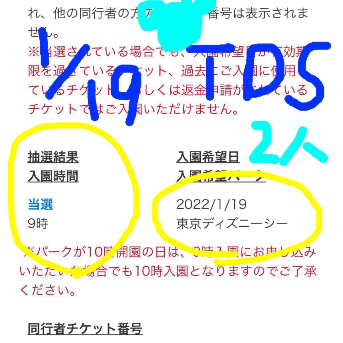 ふるさと割 ディズニーシー ペアチケット 1月19日水曜日 2名様入園分 その他イベント ふるさと割 ディズニーシー ペアチケット 1月19日水曜日 2名様入園分 その他イベント