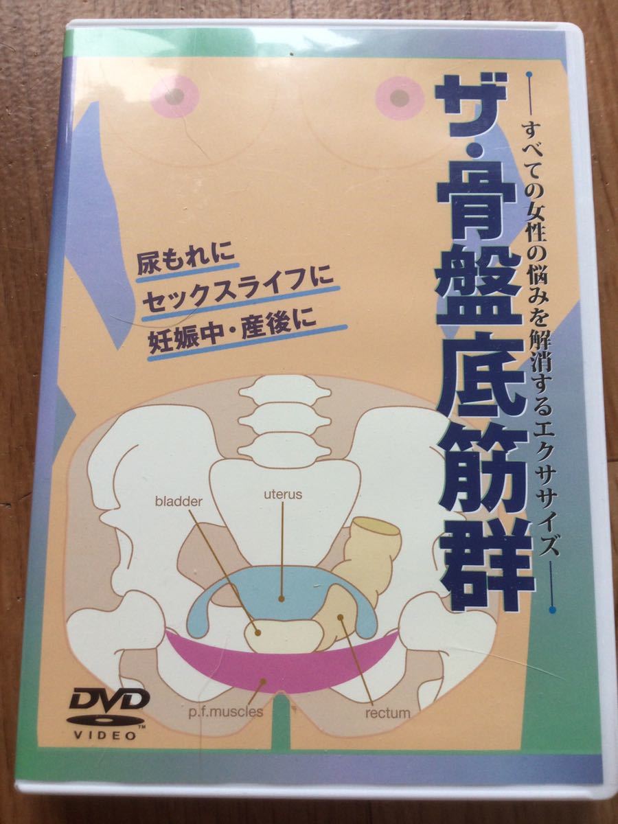 [ free shipping!] The * pelvis bottom . group DVD * pollakiuria incontinence maternity 