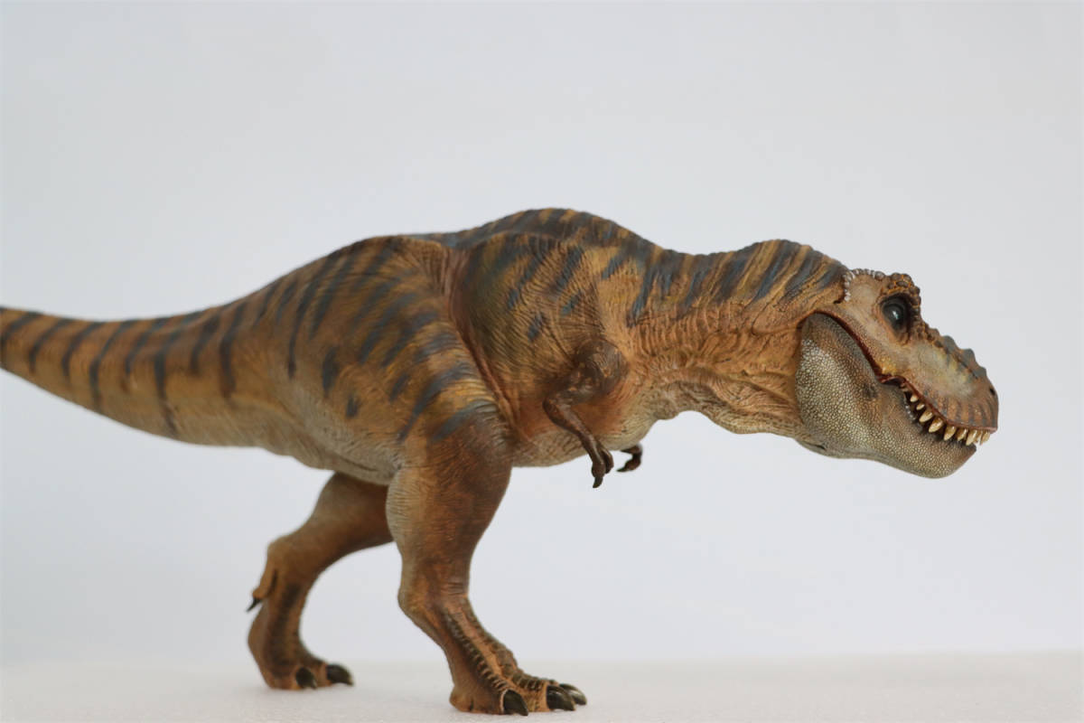 【訳あり】Nanmu 本心楠改 1/35 サイズ ティラノサウルス レックス King Ｔ-REX 大きい 肉食 恐竜 43.5cm級 塗装済 台座 (山岳-標準版)_画像9