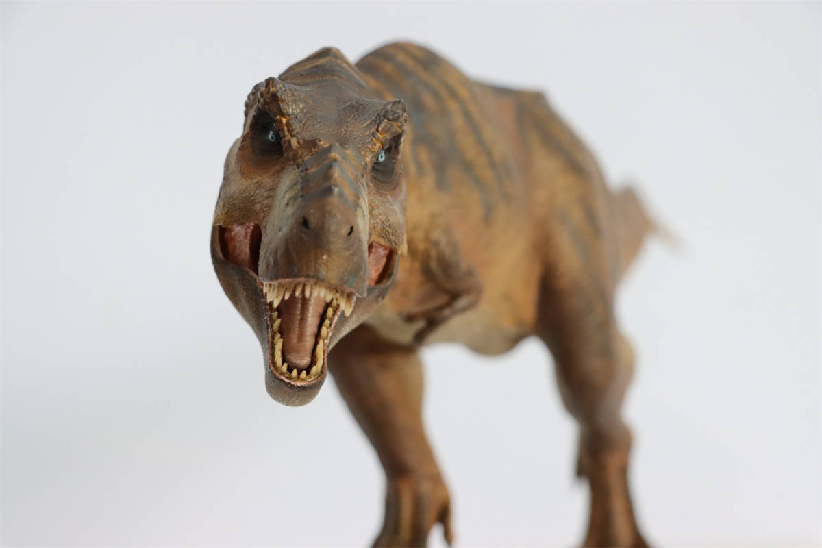 【訳あり】Nanmu 本心楠改 1/35 サイズ ティラノサウルス レックス King Ｔ-REX 大きい 肉食 恐竜 43.5cm級 塗装済 台座 (山岳-標準版)_画像6