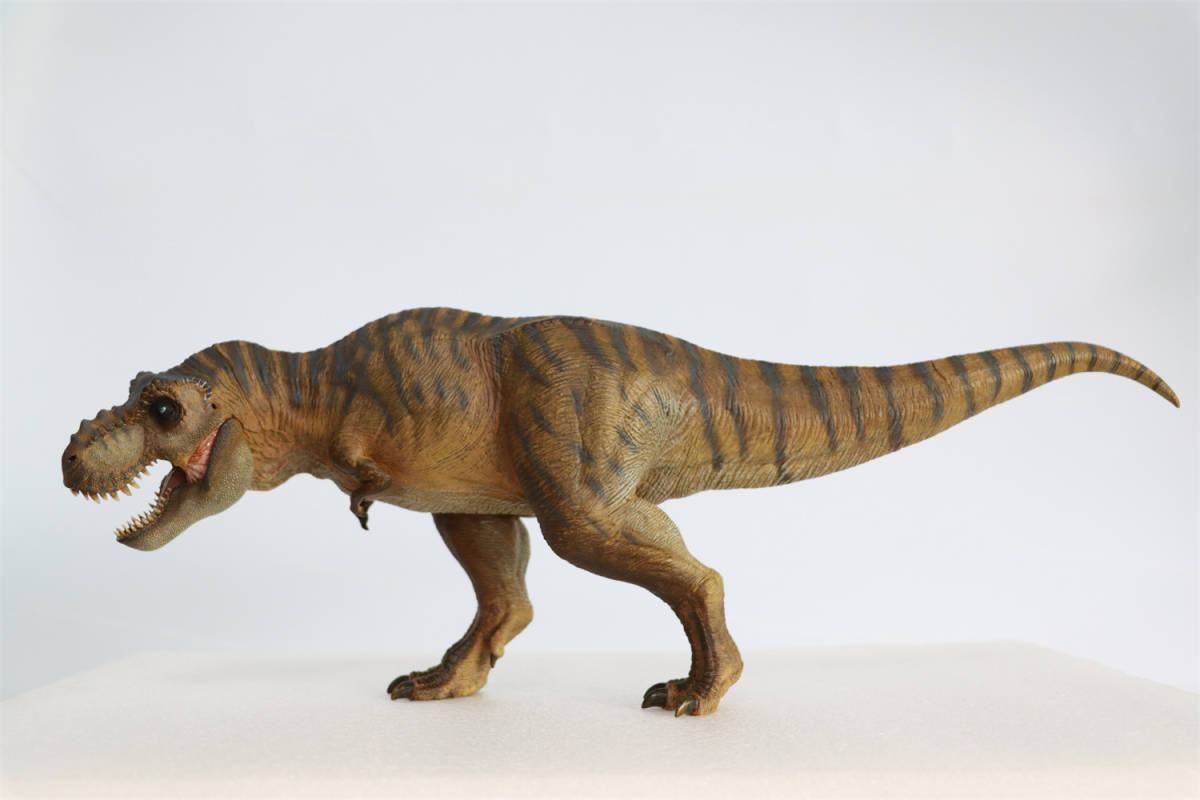 【訳あり】Nanmu 本心楠改 1/35 サイズ ティラノサウルス レックス King Ｔ-REX 大きい 肉食 恐竜 43.5cm級 塗装済 台座 (山岳-標準版)_画像3