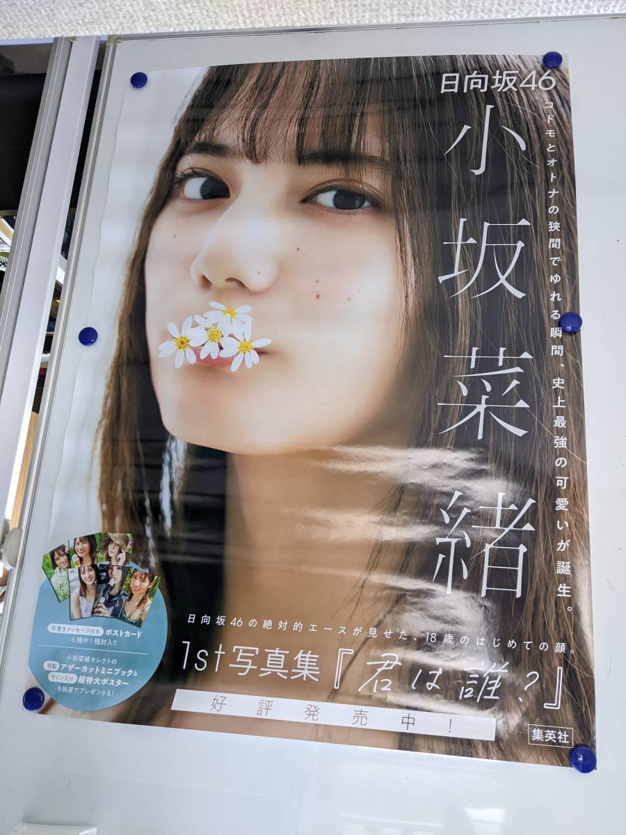 Yahoo!オークション - 小坂菜緒ポスター 写真集の販促 B1版 Yahoo!オークション - 小坂菜緒ポスター 写真集の販促 B1版