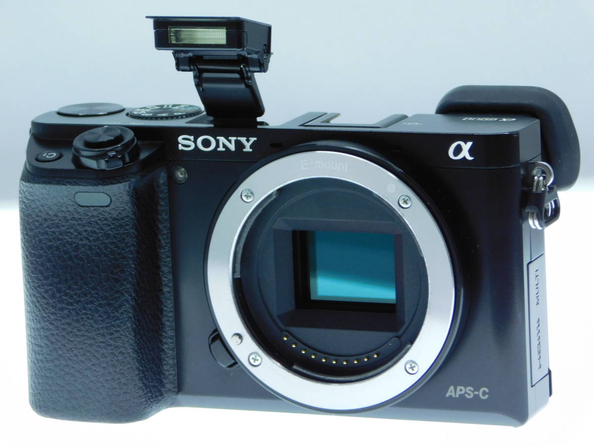 直販正規 【美品】SONY ILCE-6000(B) ボディー α6000 デジタルカメラ