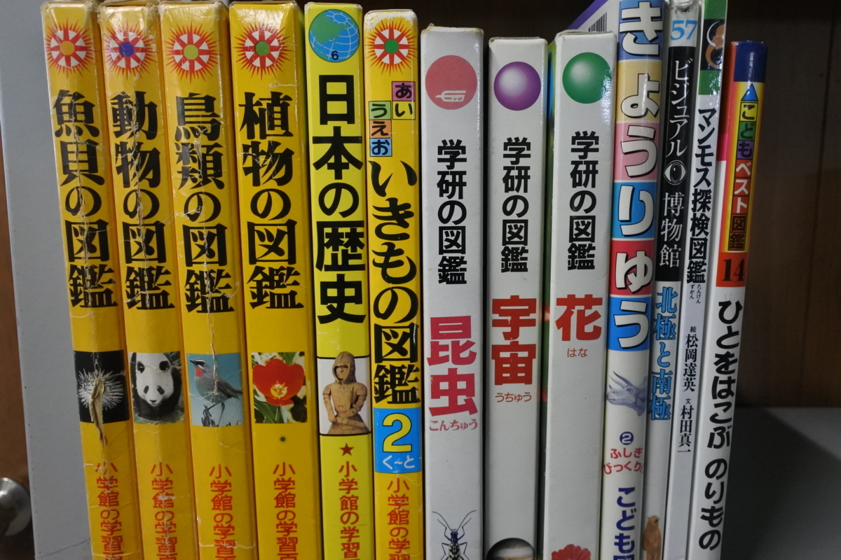 65%OFF【送料無料】 図鑑 学研 16 2冊セット 小学館 恐竜 地球 昆虫