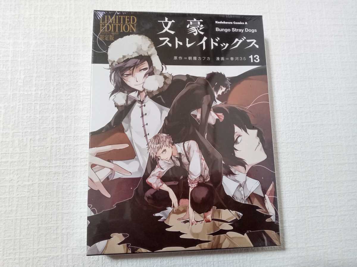 文豪ストレイドッグス 13 [Bungō Stray Dogs 13] by Kafka Asagiri