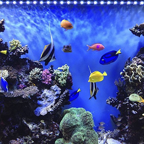 Etelux LED水槽ライト気泡 水中 アクアリュムランプ RGB 水槽用照明 装飾 観賞魚 熱帯魚 酸素補給 長寿命 省エネ 水陸両用 12LED 28cm_画像7