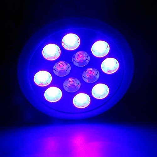 LED アクアリウムライト 24W 青8 紫外線4 観賞用 水槽照明 水草 サンゴ 熱帯魚 観賞魚 植物育成_画像2