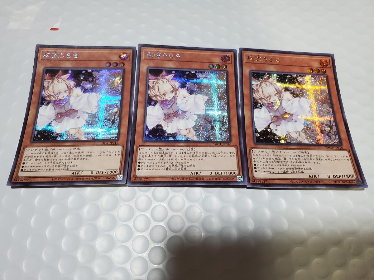 大幅にプライスダウン 遊戯王 灰流うらら プリシク プリズマ プリズマ