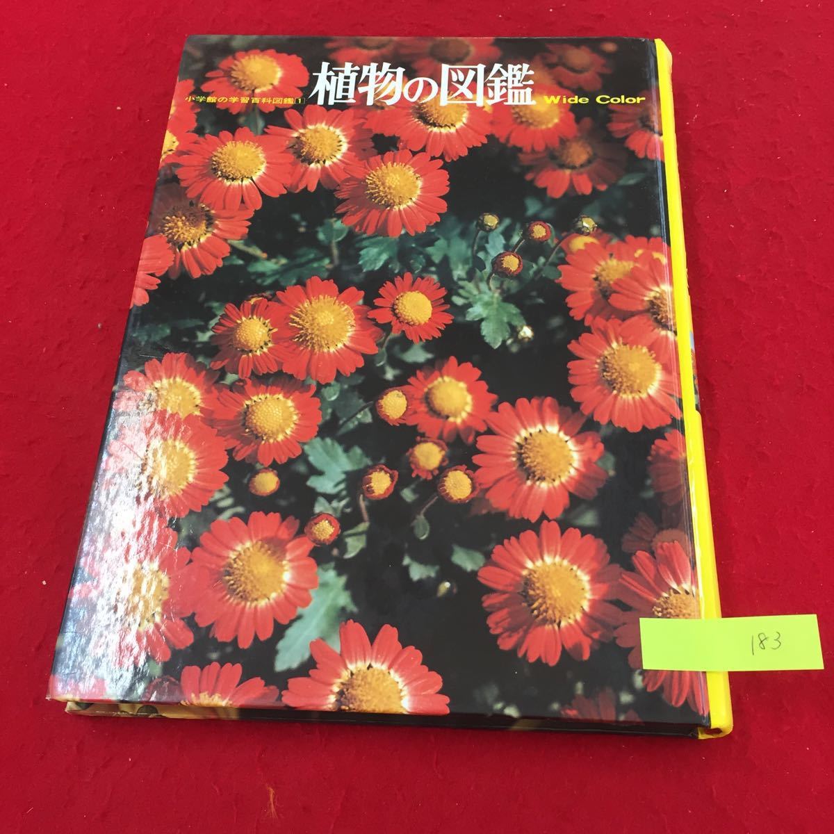 item_image_1