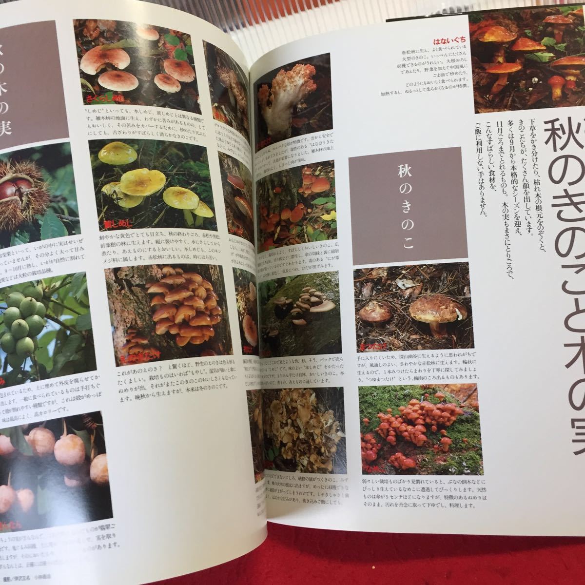 YW-218 四季のおいしいご別冊家庭画報 旬の素材を生かした 季節感あふれるご秋/まつたけご飯 春/たけのこご飯 世界文化社 1990年発行_画像4