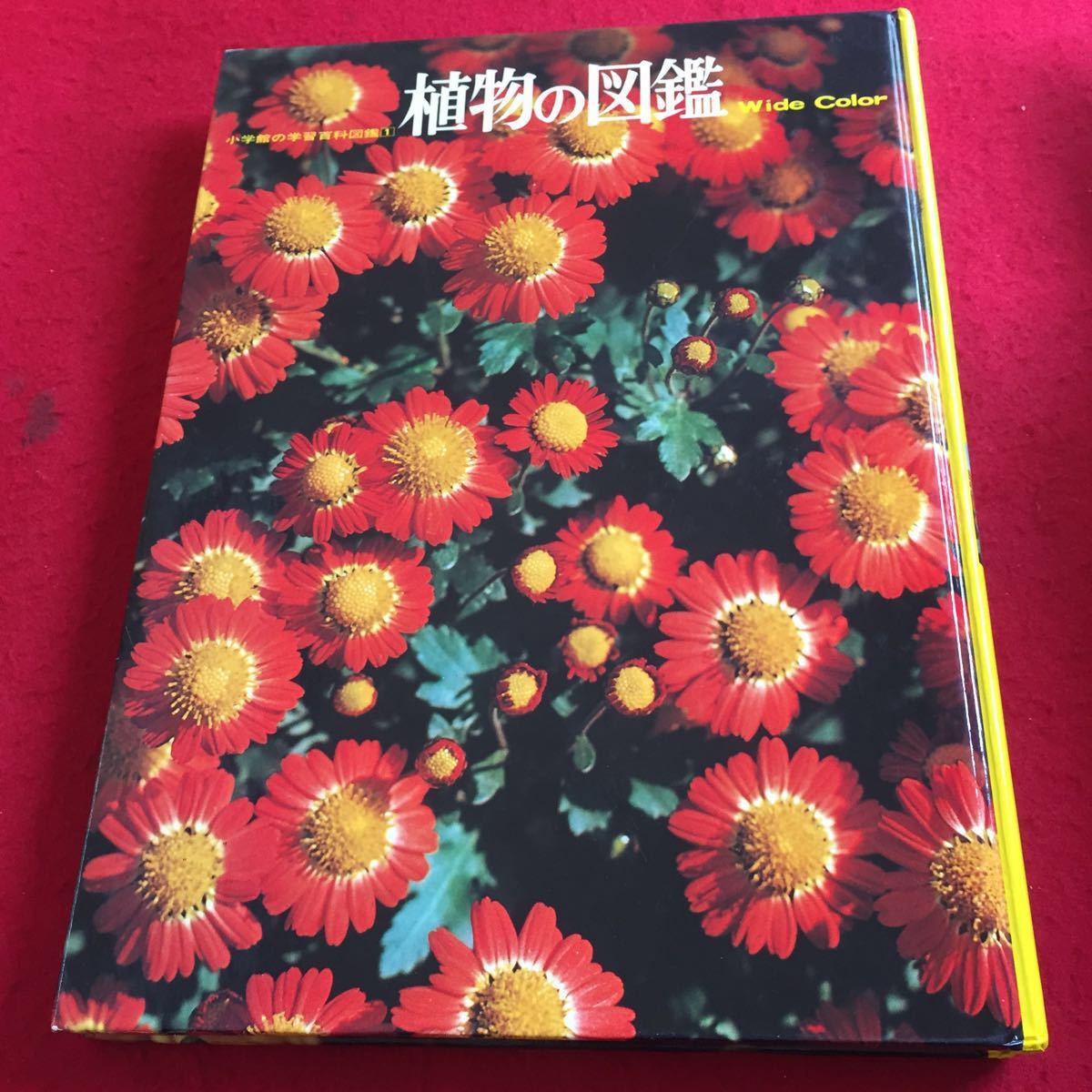 item_image_2